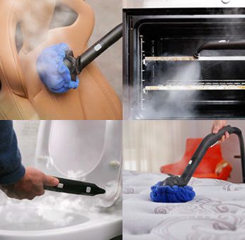 Steam Cleaner For Cars, Ovens And Toilets