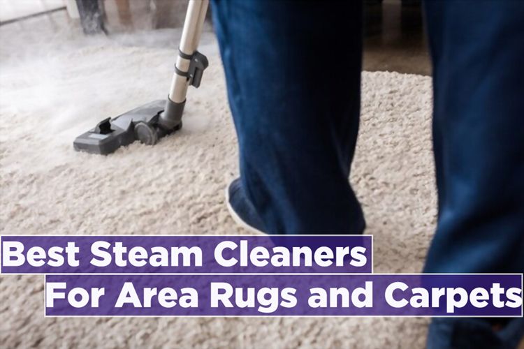 Best Steam Cleaners for Area Rugs