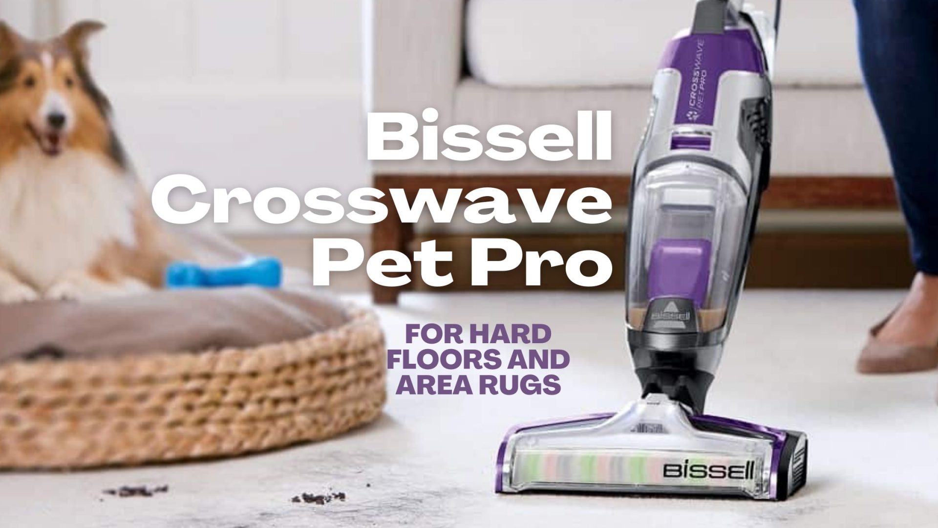 Bissell Crosswave Pet Pro Review [2023]