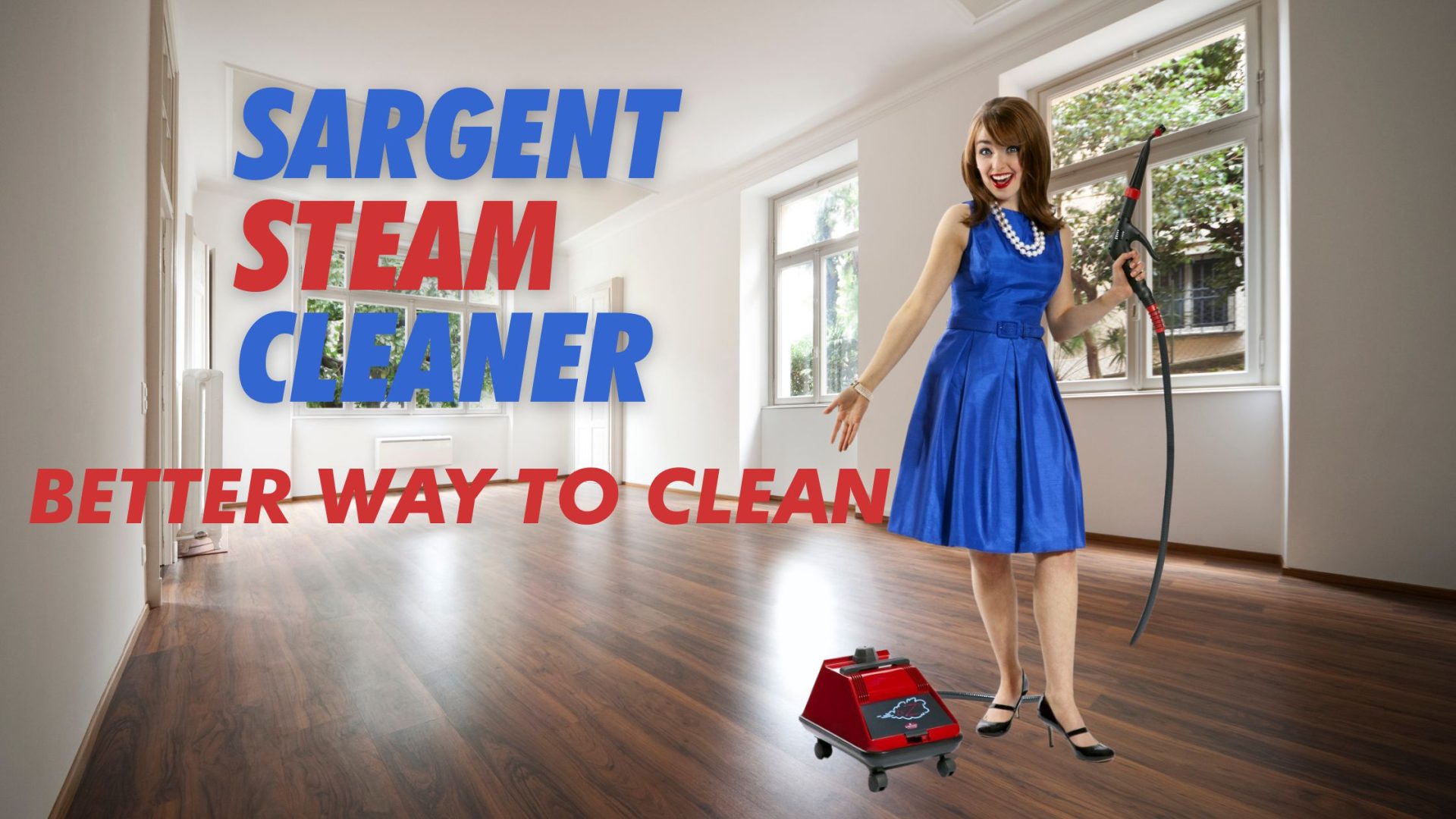 Sargent Steam Cleaner