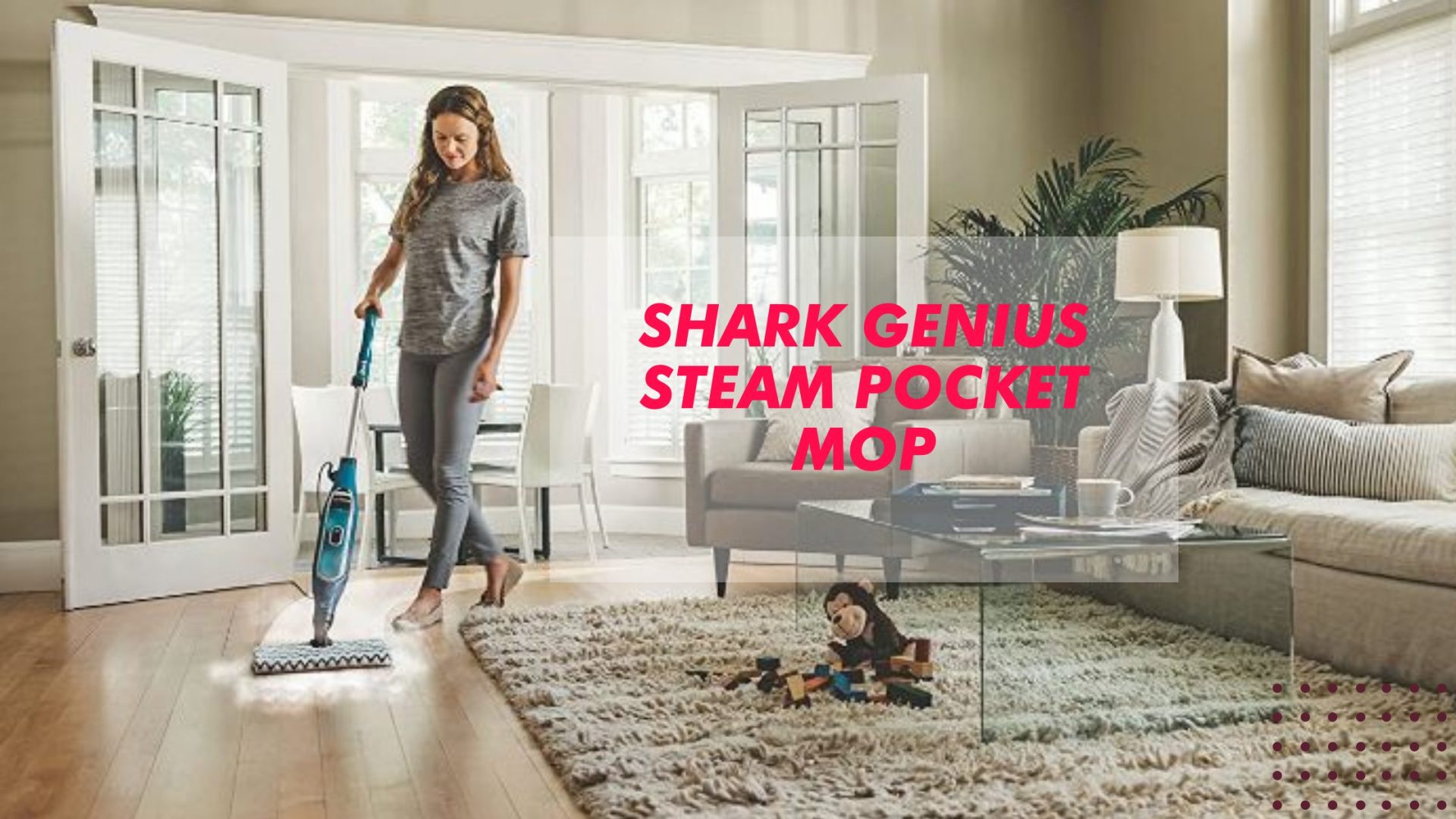Shark Genius Steam Pocket Mop Reviews