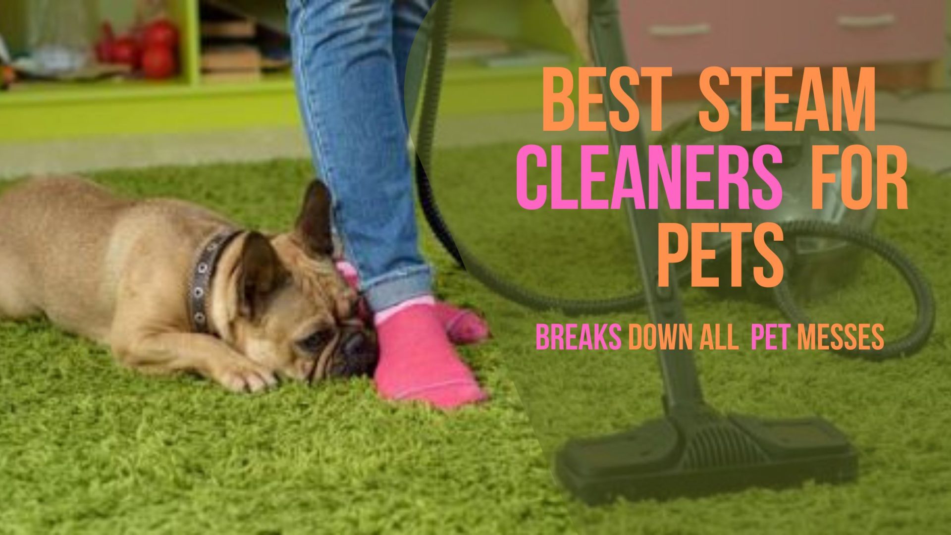 Steam Cleaners for Pets