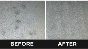 How to get Coconut and Olive Stains out of Carpet Before and After