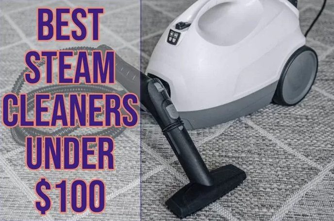 Best Steam Cleaners Under 100