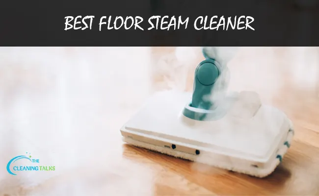 Best Floor Steam Cleaner