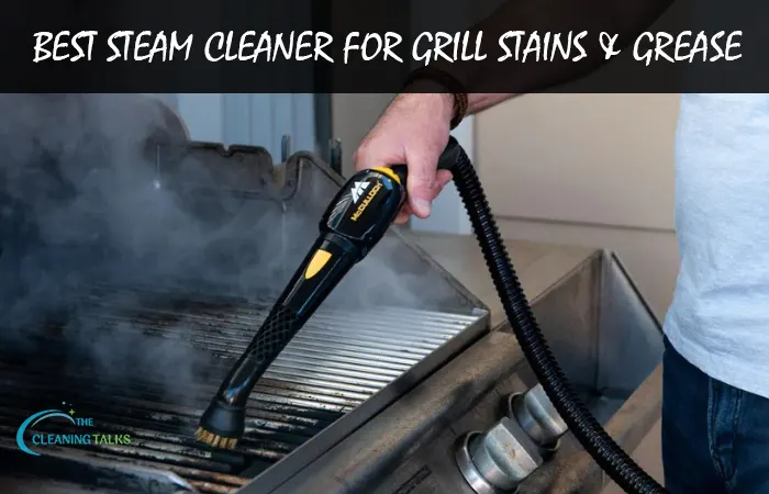 Best Steam Cleaner for Grill