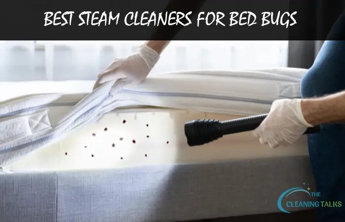 10 Best Steam Cleaners for Bed Bugs to Kill Permanently [2023]