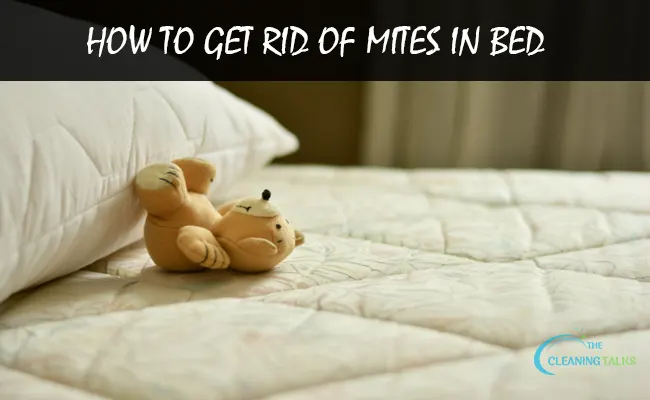 How to Get Rid of Mites in Bed