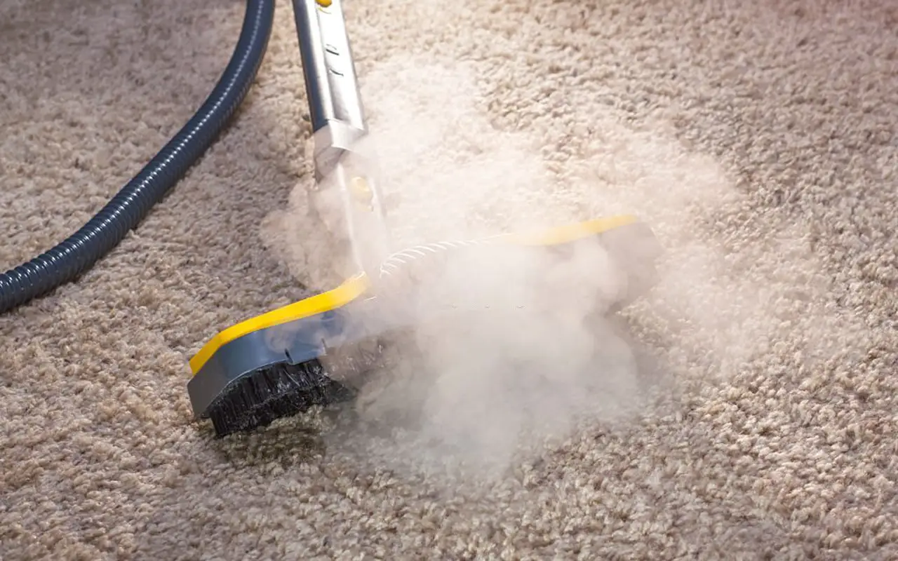 Does Steam Cleaning Remove Odors