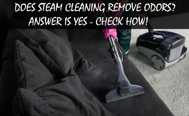 Does Steam Cleaning Remove Odors